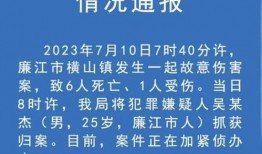 廉江知情人爆料案件最新,知情人士揭秘背后惊人真相