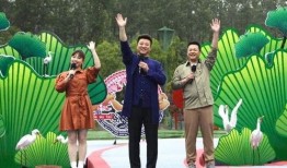 嘉善星派爆料最新消息视频,揭秘视频背后的惊人真相！