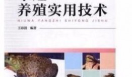 牛蛙饲养爆料视频大全,爆款视频大全深度解析