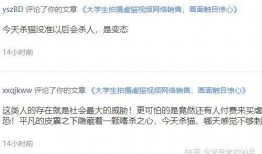 看爆料视频的群名叫什么,揭秘网络爆料背后的真相与争议